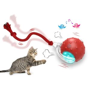 Interactive Pet Chase Toys